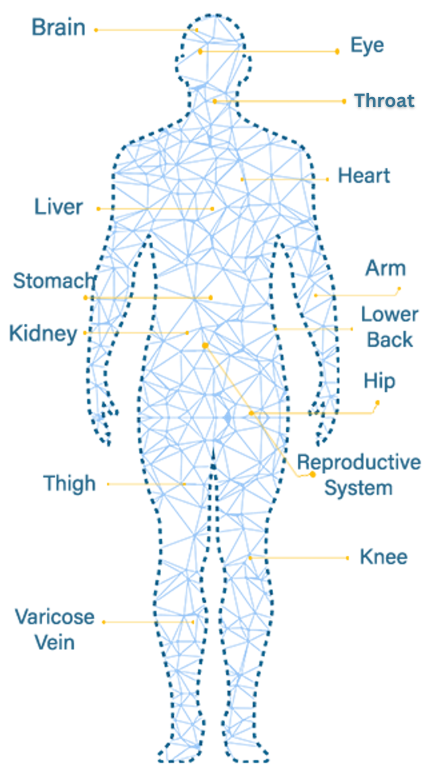 Man Body