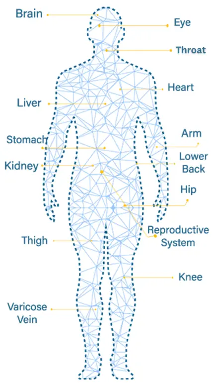 Man Body