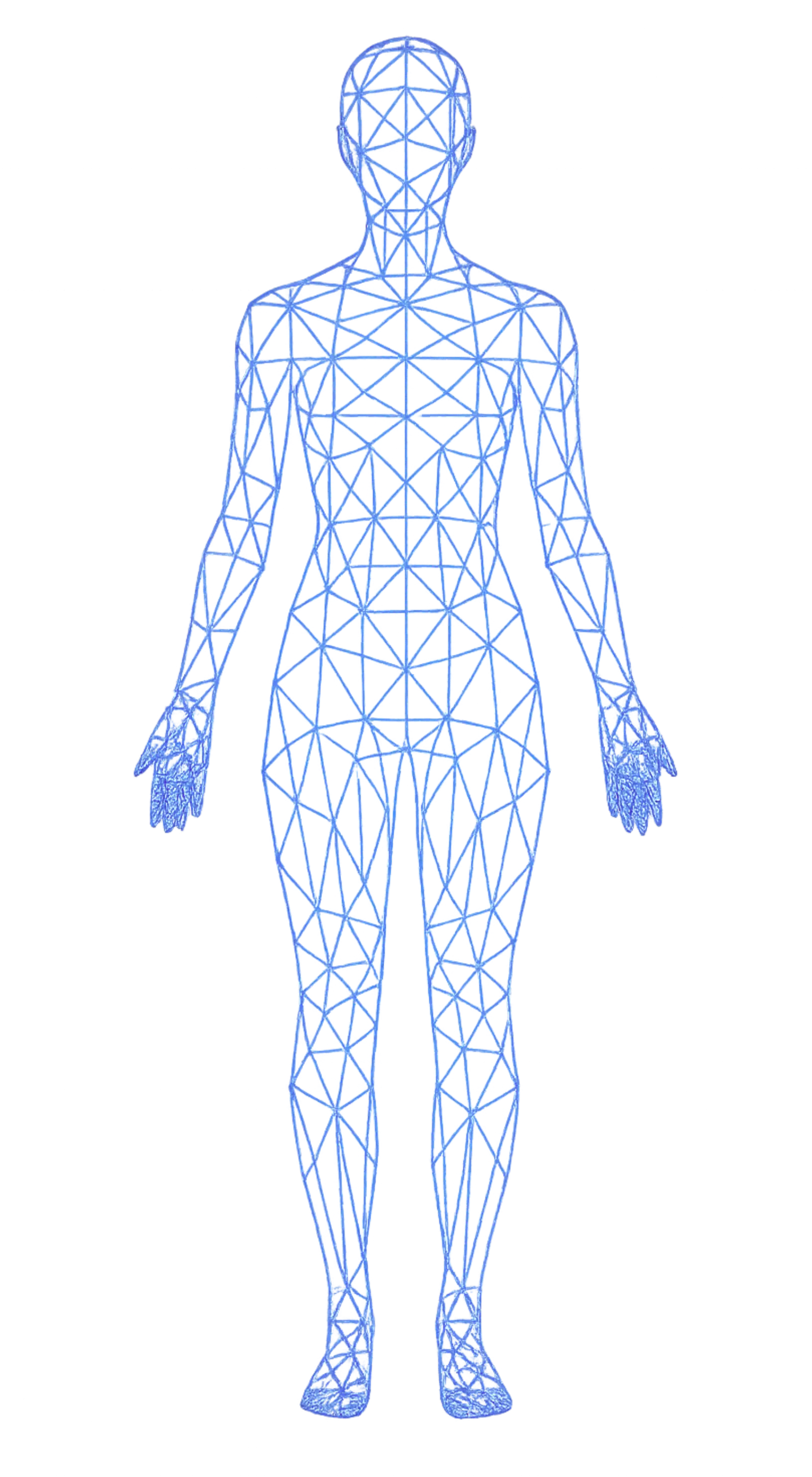Female Body